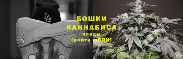 винт Магас